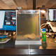 Image for article titled A Same-Day Delivery Startup Brought Me a Fish We Both Assumed Would Die